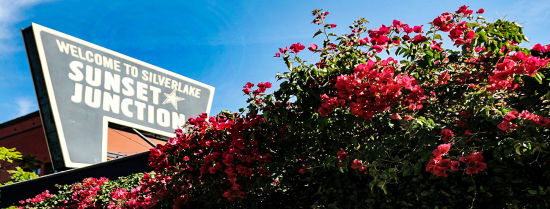 Silver Lake Los Angeles Ca Real Estate Market Realtor Com